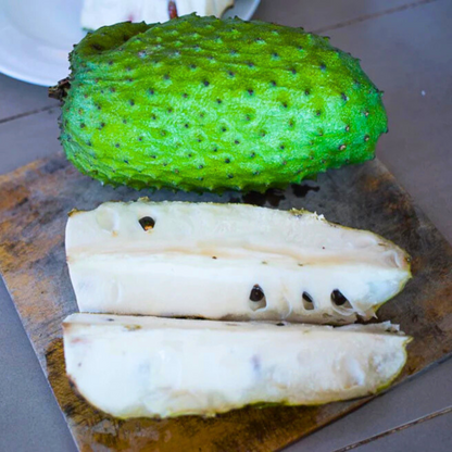 Soursop (Annona Muricata) Fruit Live Plant