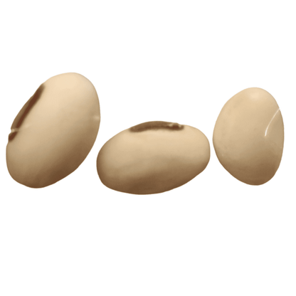 Organic Sword Beans Seeds - Open Pollinated