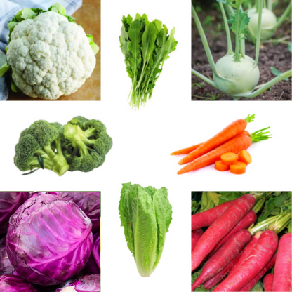 Exotic Vegetable Seeds Bundle