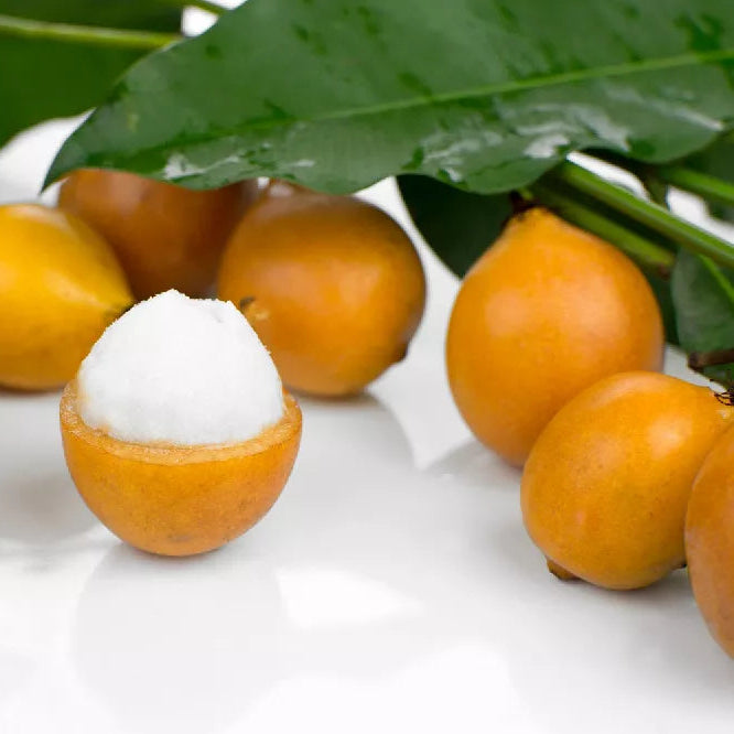 Achachairu Fruit Live Plant