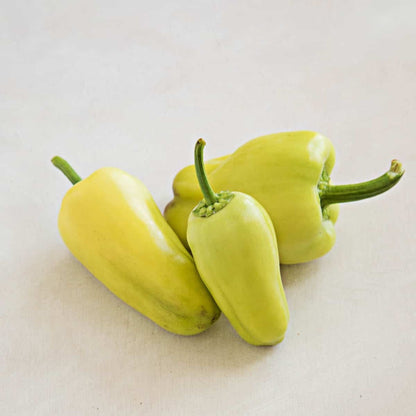 Organic Big Chilli (Thondan Mulaku) Seeds - Open Pollinated