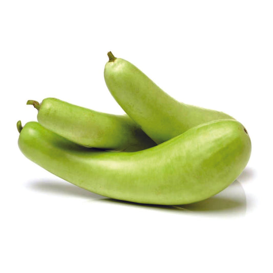 Organic Bottle Gourd Seeds - Open Pollinated