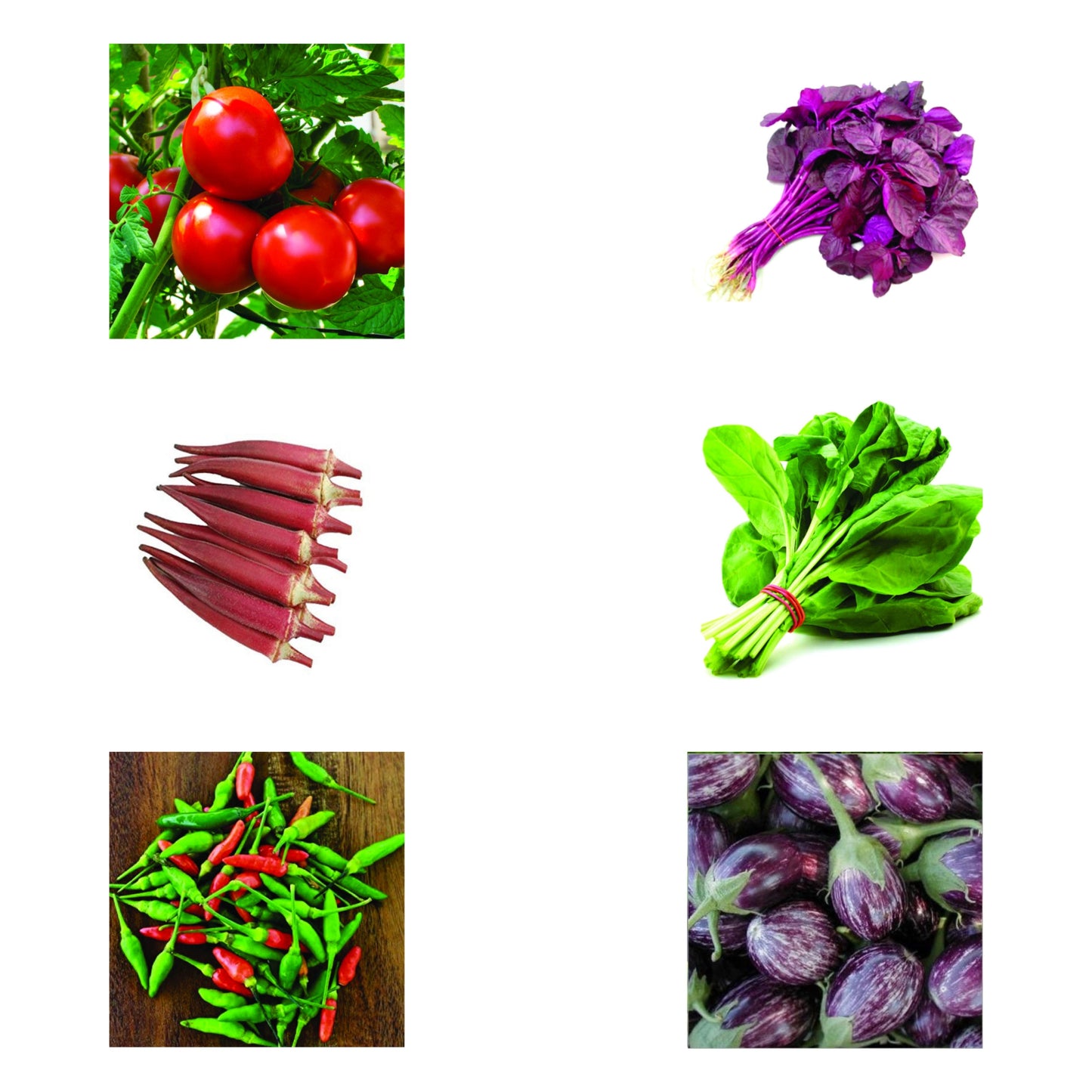 Top Selling Seeds Bundle