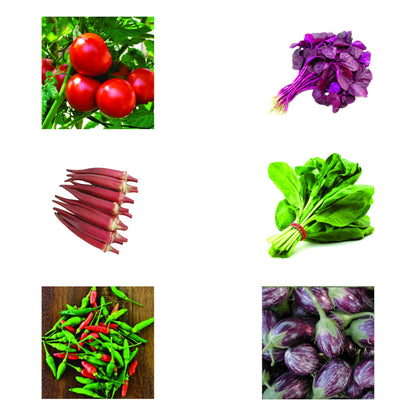 Top Selling Seeds Bundle