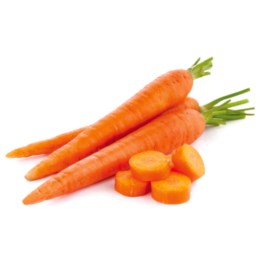 Organic Carrot Seeds - Open Pollinated