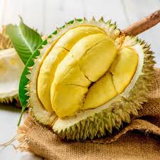 Durian Fruit Live Plant