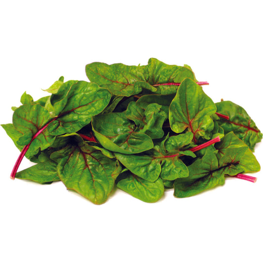Organic Green & Red Amaranthus Seeds (Renu Sree Cheera) - Open Pollinated