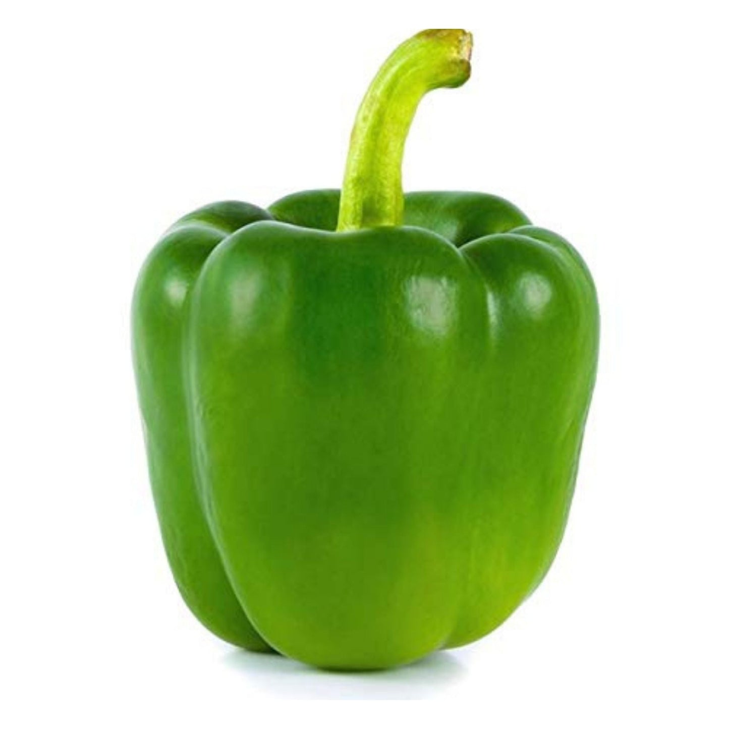 Organic Green Capsicum Seeds - Open Pollinated