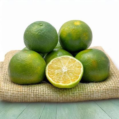 Musambi / Sathukudi (Sweet Lemon) Live Fruit Plant