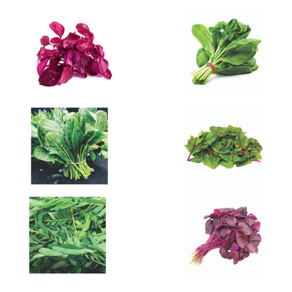Pack of 6 Types of Spinach Seeds
