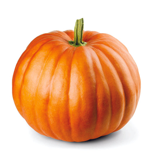 Organic Pumpkin Seeds - Open Pollinated