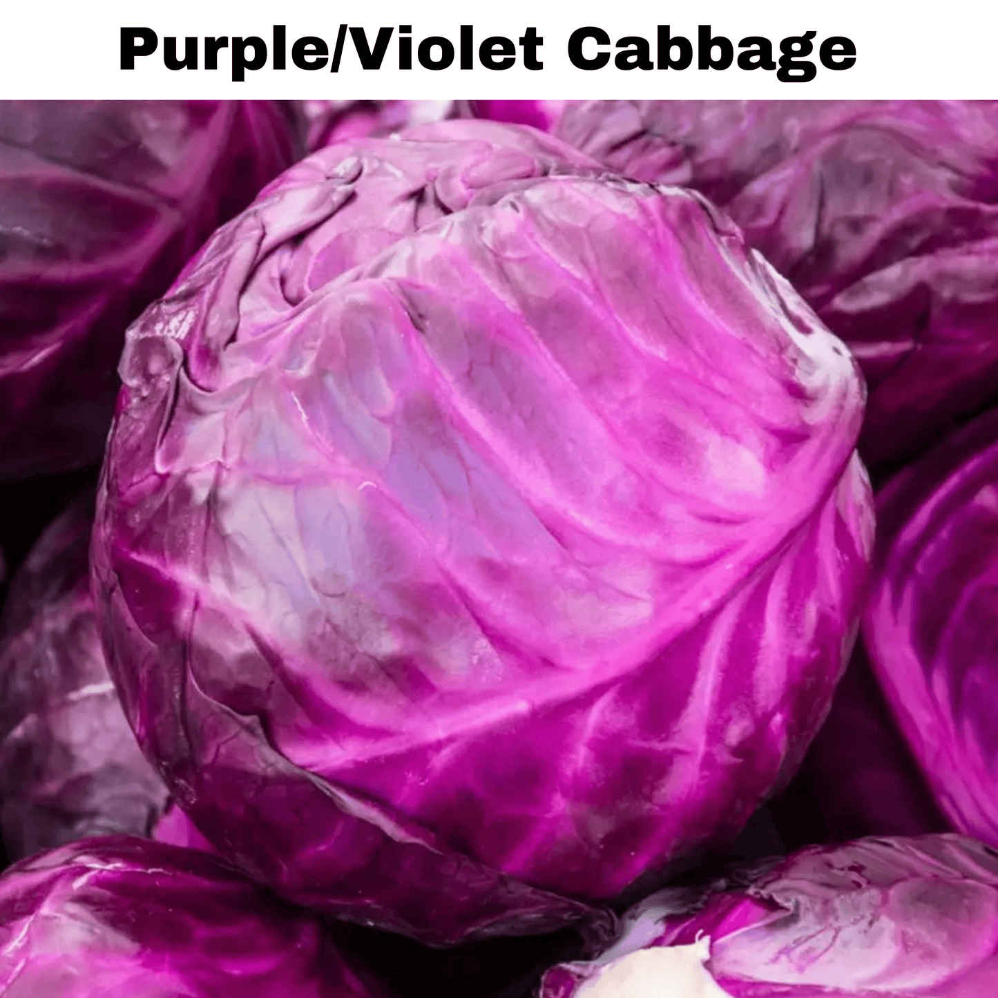 Exotic Vegetable Seeds Bundle