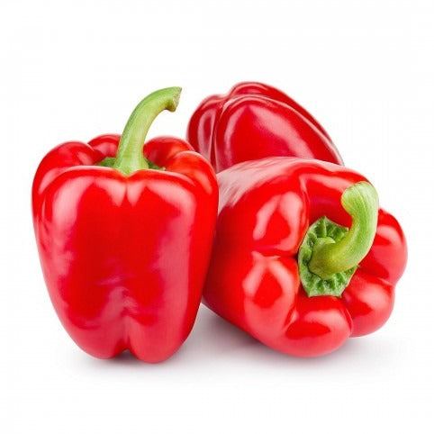 Red Capsicum Seeds लाल शिमला मिर्च के बीज (Shimla Mirch)