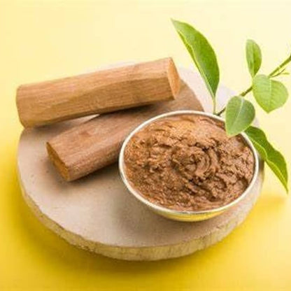 Sandalwood (Sandal) Santalum album Live Plant